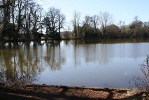 Kirtlington-Manor-Lake